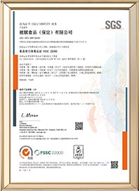 FSSC22000体系认证